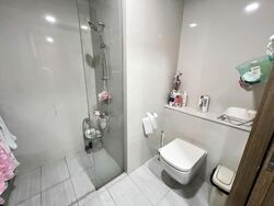 Lakeville (D22), Condominium #557243131